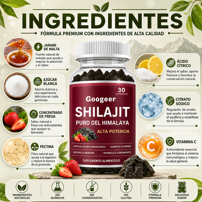 Gominolas de Shilajit del Himalaya - 100% natural y máxima vitalidad